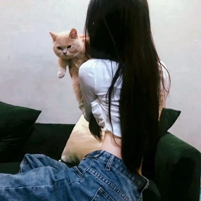 春宵苦短，少女前进吧！